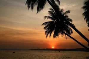 tramonto con palme Onoranze funebri Gamberini